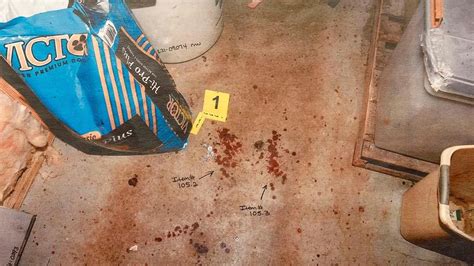 alex murdaugh crime scene photographs|Chilling photos reveal bloody crime scene where Maggie and Paul ...